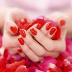 Beautiful Hands