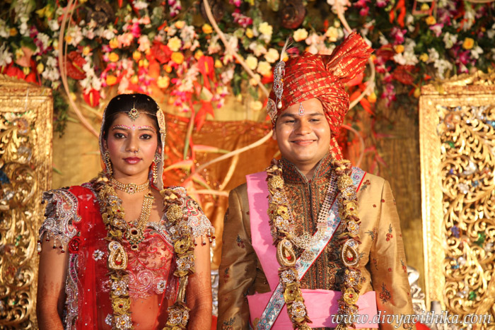 Mahavir and Nisha's Wedding